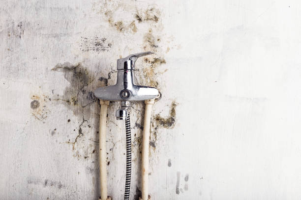 Best Post-Flood Mold Remediation in Delhi, CA